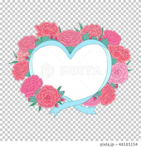 康乃馨朵組合的花圈 康乃馨朵組合的花圈 48183154