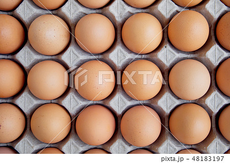 Many fresh raw egg chicken lined up in a row. 48183197