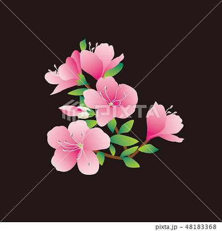 皐月 皐月 48183368