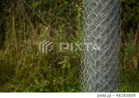 Rabitz grid in a roll on in garden. Selective focus. Free space for text. 48183809