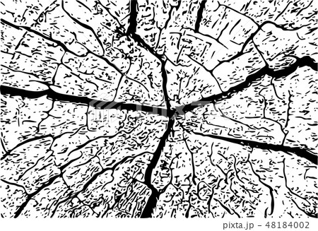 Wooden pattern. Wood grain texture. Abstract background. Vector illustration 48184002