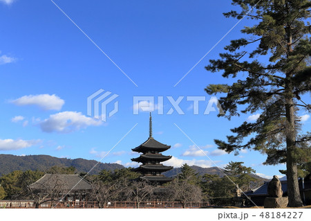 興福寺五重塔 48184227