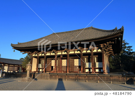 興福寺東金堂 興福寺東金堂 48184790