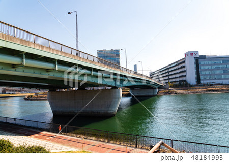 豊洲市場脇　豊洲ぐるり公園から東雲運河風景 48184993