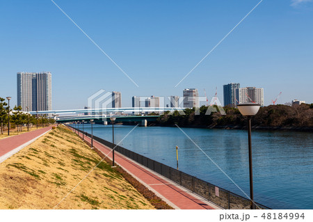 豊洲市場脇　豊洲ぐるり公園から東雲運河風景 48184994