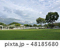 草 芝生 芝 48185680