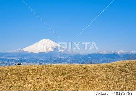 足柄峠から望む富士山 足柄峠から望む富士山 48185768