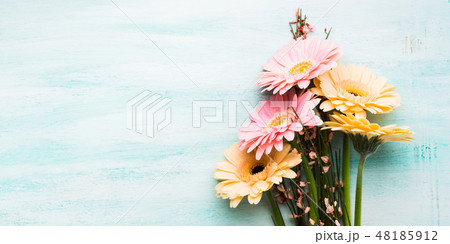 Beautiful flowers on pastel green background 48185912