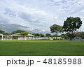 草 木 ツリー 48185988