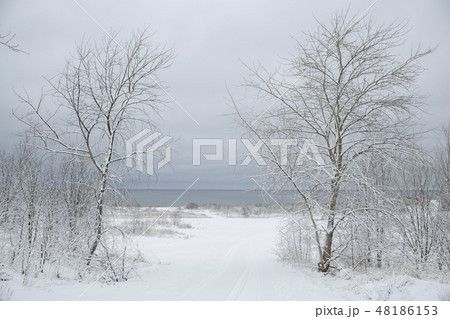 Baltic sea 48186153