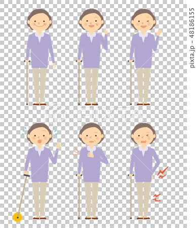 高級女藤莖全身設置 48186155