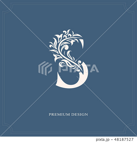 Elegant letter S. Graceful calligraphic royal logo 48187527