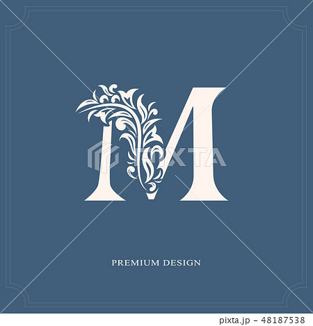 Elegant letter M. Graceful calligraphic royal logo 48187538