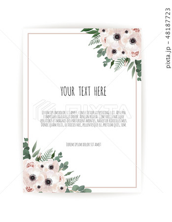 Vector floral design card. Greeting, postcard wedding invite template. Elegant frame with rose and Vector floral design card. Greeting, postcard wedding invite template. Elegant frame with rose and 48187723