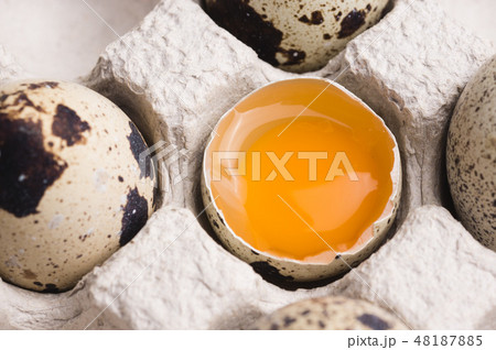 Quail eggs in random order with yolk in cardboard  48187885