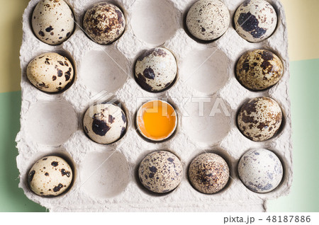 Quail eggs in random order with yolk in cardboard Quail eggs in random order with yolk in cardboard 48187886