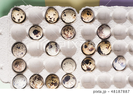 Quail eggs in cardboard packaging in random order Quail eggs in cardboard packaging in random order 48187887