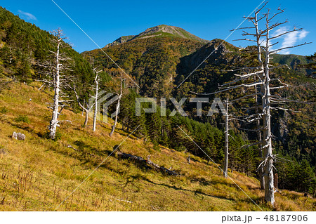 南アルプス 聖岳 (聖平から望む) 南アルプス 聖岳 (聖平から望む) 48187906