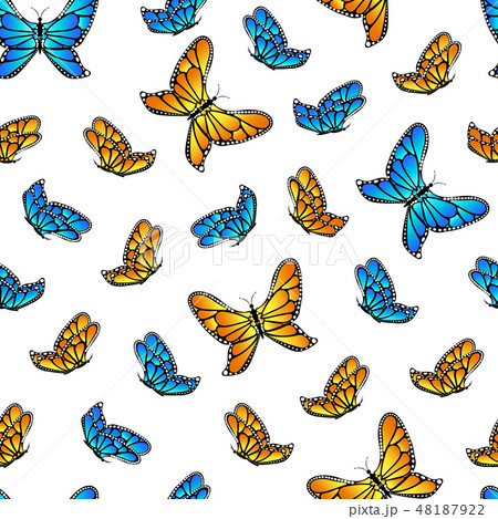 Butterfly seamless pattern. Butterfly seamless pattern. 48187922