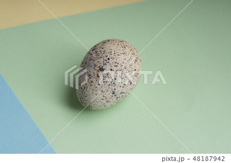 single quail eggs on color background. Vegetarian single quail eggs on color background. Vegetarian 48187942