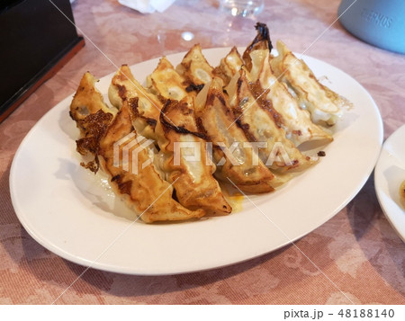 宇都宮の餃子 48188140