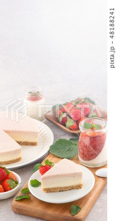 イチゴ いちご 苺 48188241