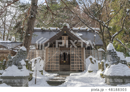春日山神社353 春日山神社353 48188303
