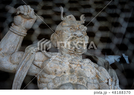 林泉寺48 林泉寺48 48188370