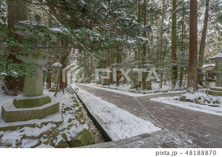 弥彦神社507 弥彦神社507 48188870