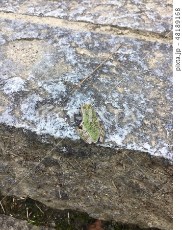 階段を登る 階段を登る 48189168