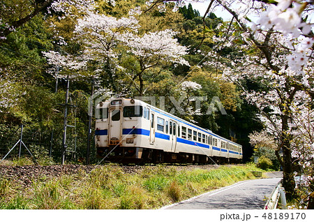 肥薩路の桜とキハ47系 48189170