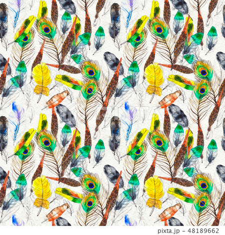 Watercolor feathers seamless pattern. Hand painted texture 48189662