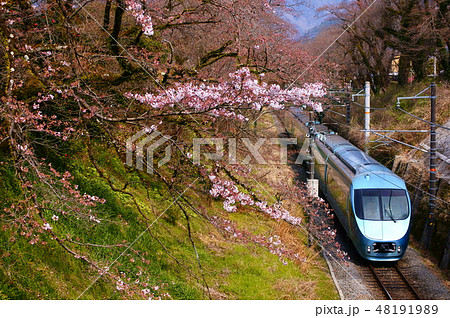 春爛漫鉄道　桜のトンネルと特急ふじさん（旧：特急あさぎり） 48191989