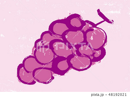 ぶどう　水彩画 48192021