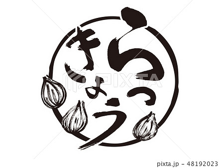らっきょう　筆文字 48192023