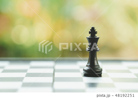 chessboard with a chess piece on the back  48192251