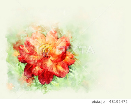 colorful yellow flower on watercolor illustration. colorful yellow flower on watercolor illustration. 48192472