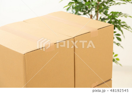 ダンボール 48192545