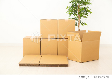 ダンボール ダンボール 48192576