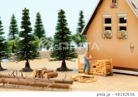 薪の準備 48192656