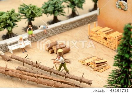 薪の準備 48192751