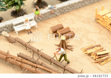 薪の準備 48192755