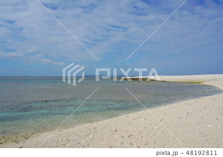 慶良間 チービシ環礁 クエフ島 48192811