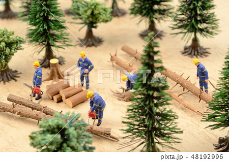 木を伐採する人々 48192996