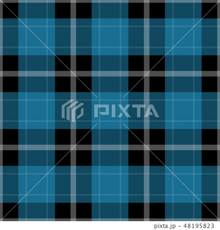 seamless black, blue tartan with white stripes seamless black, blue tartan with white stripes 48195823