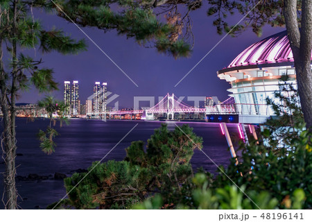 釜山 夜景 海雲台 48196141