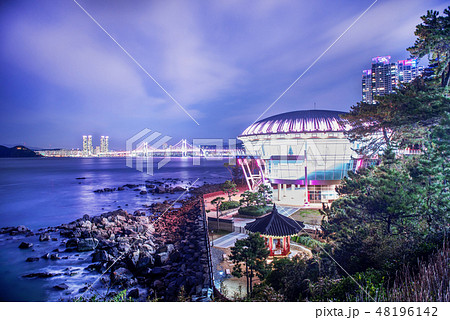 夜景 椿島 海雲台 48196142