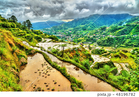 Banaue Rice Terraces - northern Luzon, UNESCO world heritage in Philippines. 48196782