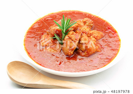 鶏肉のトマトソース煮 48197978