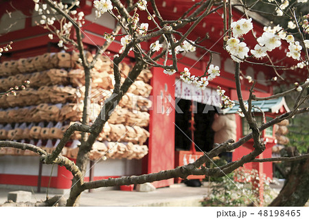 荏柄天神社 48198465
